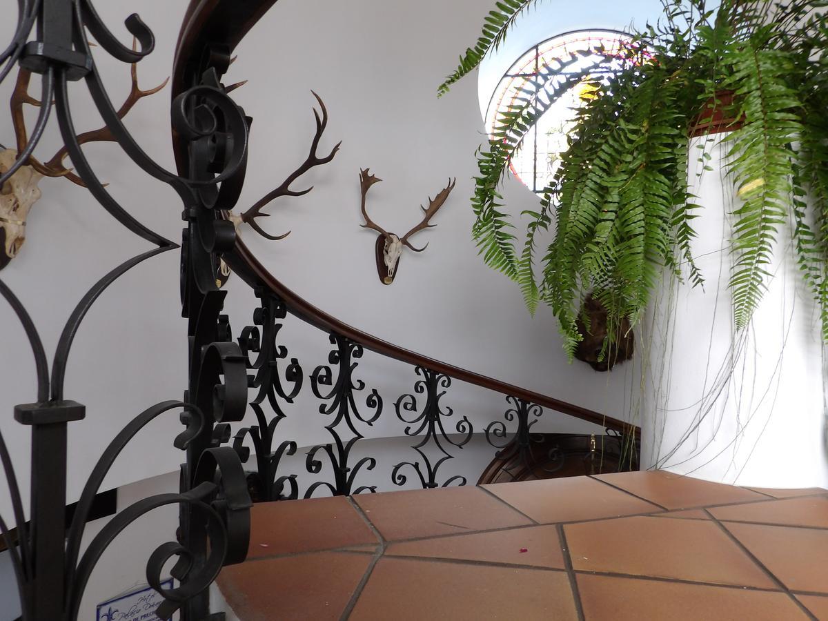 Palacio Donana , Rural & Luxury El Rocio Bagian luar foto
